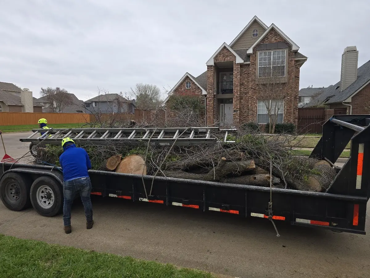 Expert Tree Fertilization with proper safety equipment in Leupp
